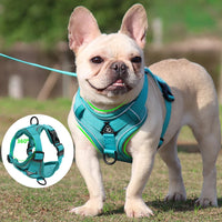 No Pull Dog Harness