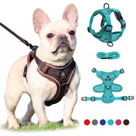 No Pull Dog Harness