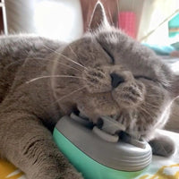 Cat, Dog Massager