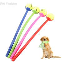 Pet Tossing Toy Ball Club