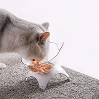 Cat Raised Stand Feeding Bowl