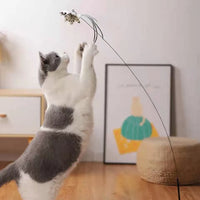 Funny Cat Stick