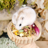 Small Pet Round Food Bowl