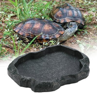 Reptile feeder Bowls