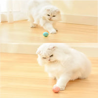 Training Self-moving Kitten Electric Cat Ball Toy