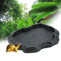 Reptile feeder Bowls