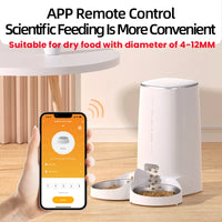 ROJECO Automatic Cat Feeder