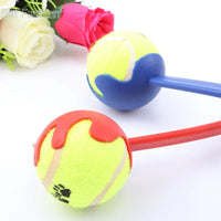 Pet Tossing Toy Ball Club