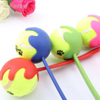 Pet Tossing Toy Ball Club