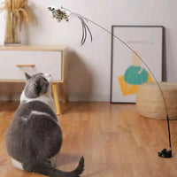 Funny Cat Stick