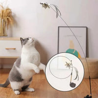 Funny Cat Stick