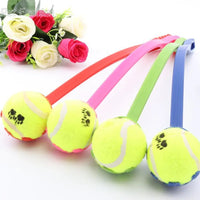 Pet Tossing Toy Ball Club