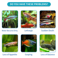 Fish aquarium test strips